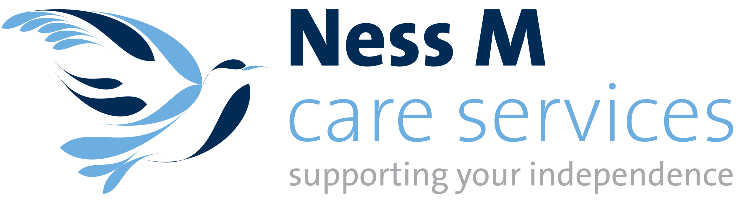 Ness M Care Services Logo