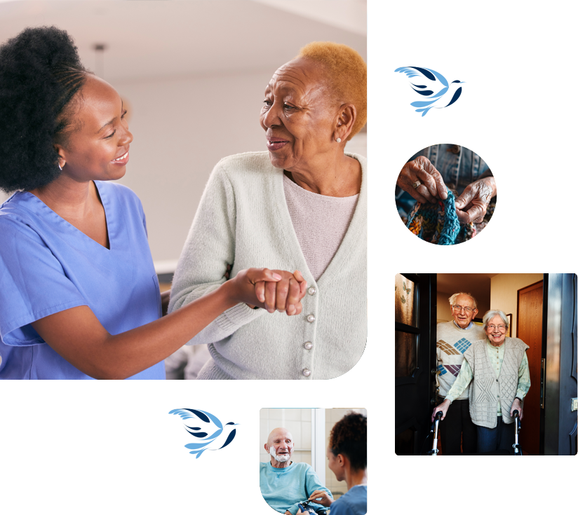 new home page graphic ness m care services